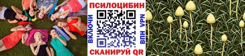Псилоцибиновые грибы мухоморы Хасавюрт