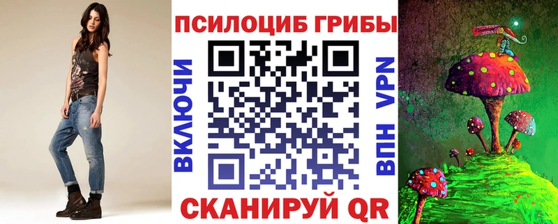 как найти наркотики  kraken сайт  Галлюциногенные грибы MAGIC MUSHROOMS  Хасавюрт 